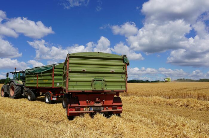 Tax-Loss Harvesting