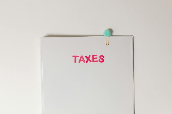 Filing Your Taxes (DIY Vs. Professional)